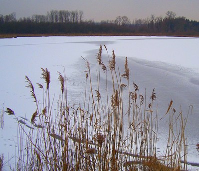 DAG 40 * IJSKOUDE PASSIE -- 09/02/12