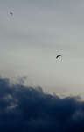 DAG 226 * ULMO-DROOM ~ ULMO-NACHTMERRIE? -- 13/08/12