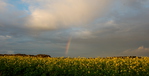 DAG 271 * RAINBOW -- 27/09/12