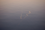 DAG 88 * WATER & LUCHT -- 28/03/12
